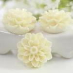 White Dahlia / Mums Flower..