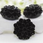 Black Dahlia / Mums Flower..