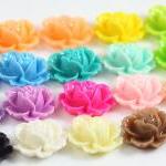 Rose Resin Cabochons Mix P..