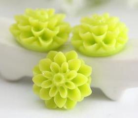 Lime Green Dahlia / Mums Flower Resin Cabochons 6pc