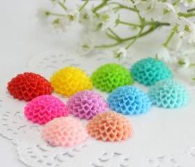 Dahlia / Mums Flower Resin Cabochons Mix Pack 20pc